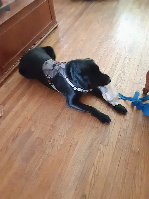 Compassion Veterinary Clinic Picture 4