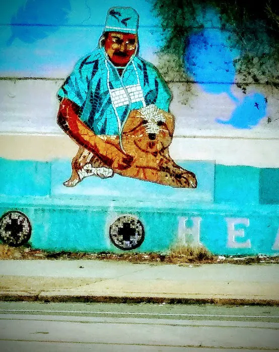 Compassion Veterinary Clinic Picture 8