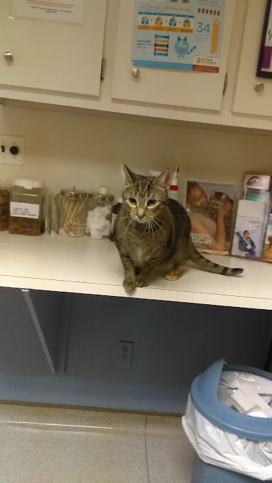 Cinnaminson Animal Hospital Picture 5