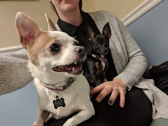 Cinnaminson Animal Hospital Picture 6