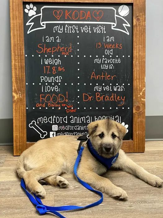 Medford Animal Hospital Picture 2