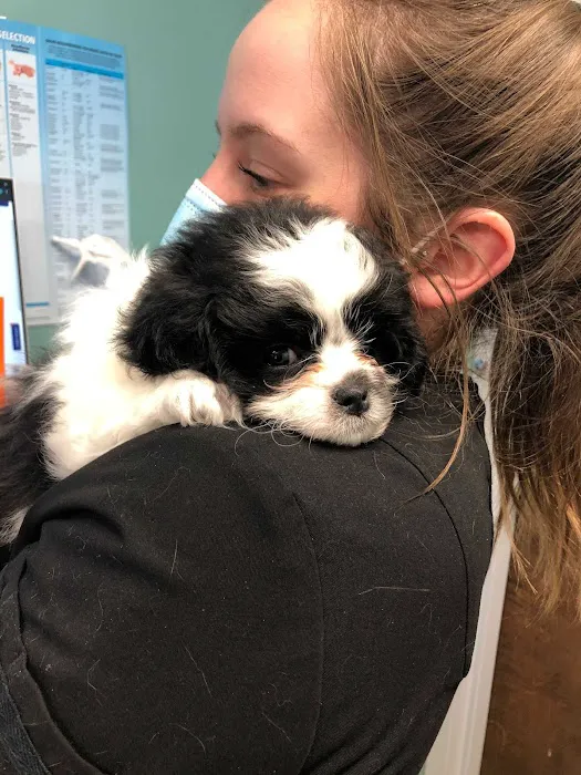 Medford Animal Hospital Picture 9