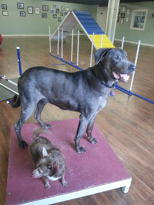 Marlton Animal Hospital Picture 1