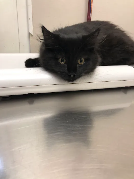 Marlton Animal Hospital Picture 2