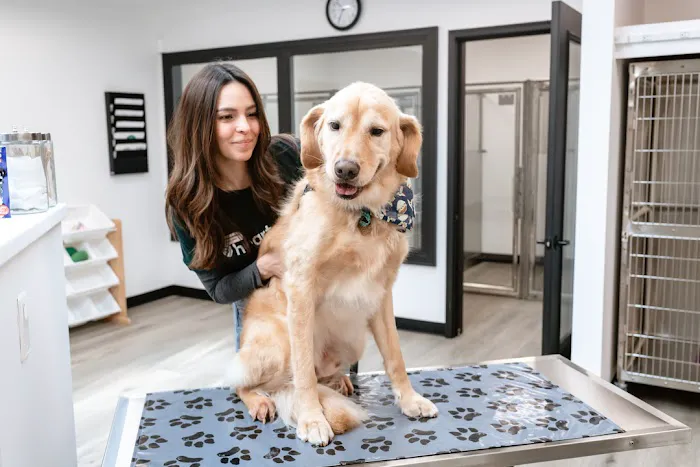 Heart + Paw Picture 3