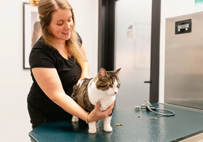 Heart + Paw Picture 2