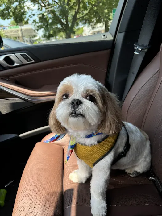 Heart + Paw Picture 4