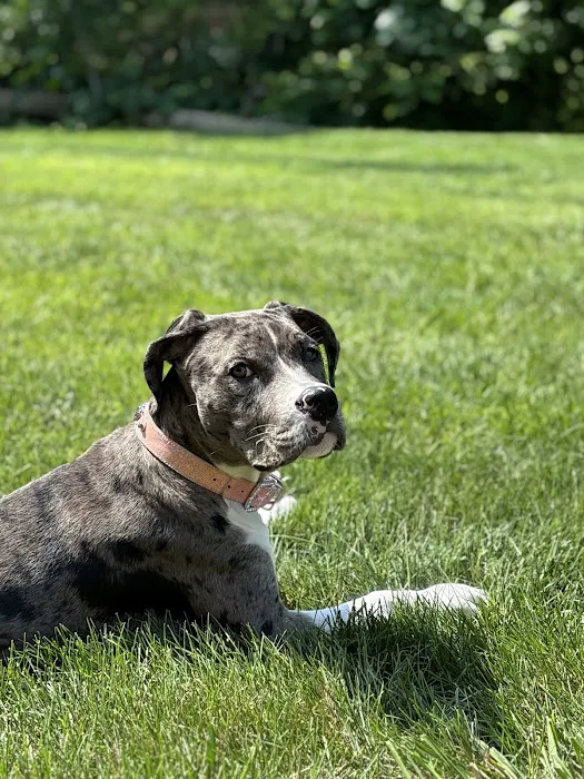 Banfield Pet Hospital Picture 1