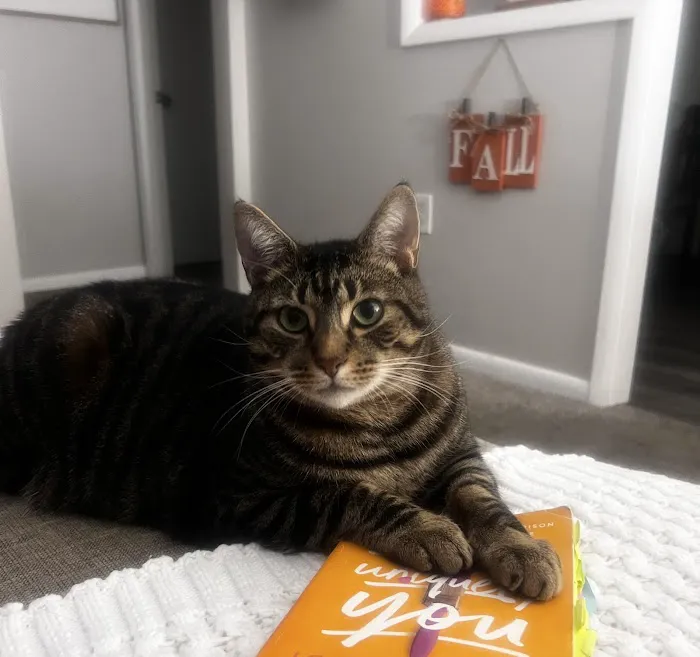 Banfield Pet Hospital Picture 4