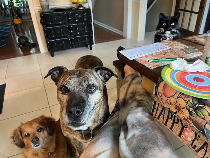 Banfield Pet Hospital Picture 6