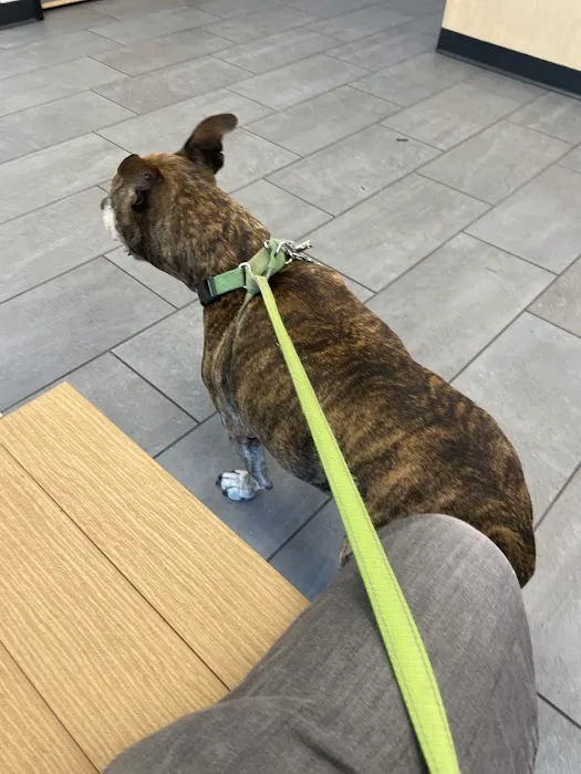 Banfield Pet Hospital Picture 8