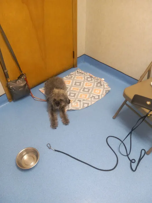 Evesham Veterinary Clinic Picture 5