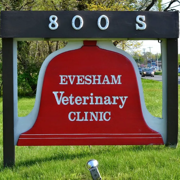 Evesham Veterinary Clinic Picture 6