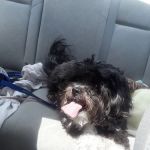 Evesham Veterinary Clinic: Bell Jaclyn DVM