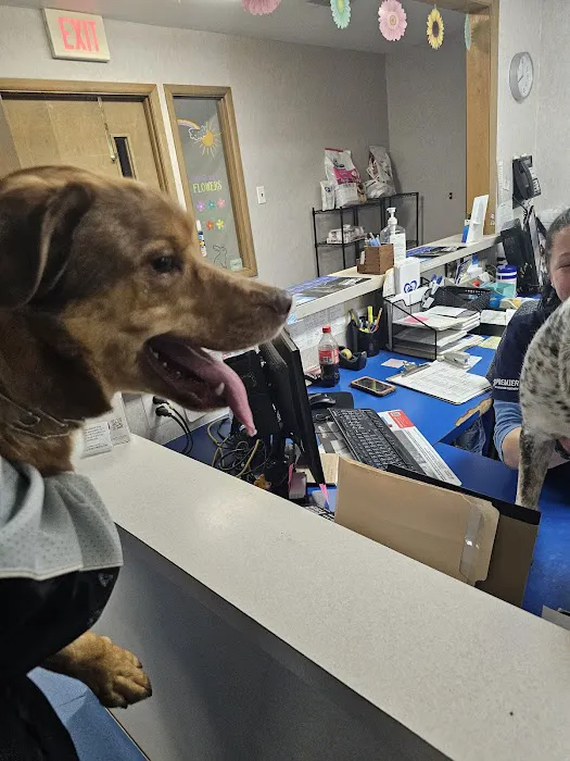 Evesham Veterinary Clinic: Bell Jaclyn DVM Picture 5