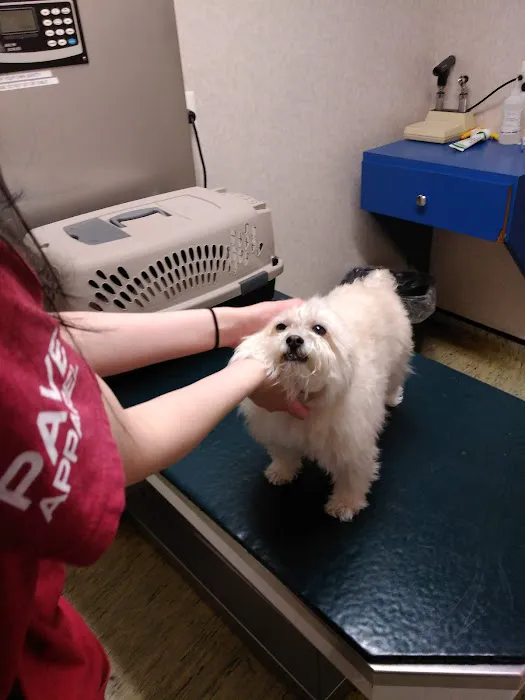 Evesham Veterinary Clinic: Bell Jaclyn DVM Picture 6