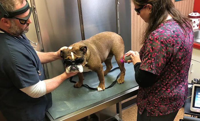 Buck Road Animal Hospital Picture 5