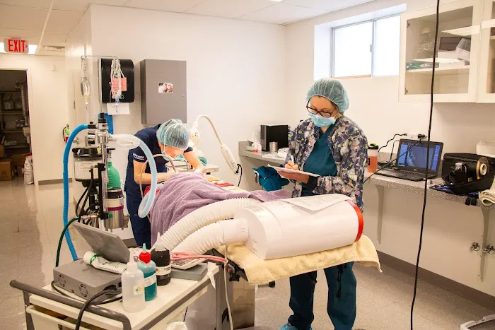 Family Pet Clinic Feasterville Picture 2