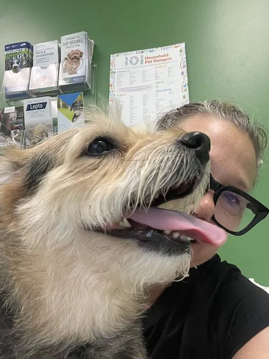 Family Pet Clinic Feasterville Picture 4