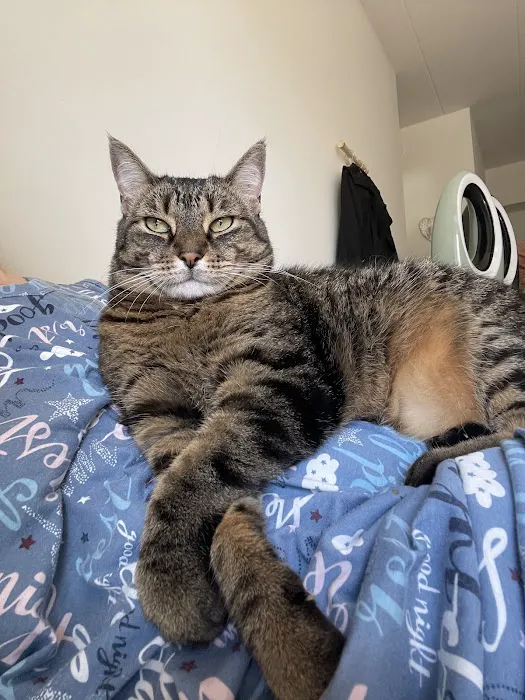 Family Pet Clinic Feasterville Picture 9