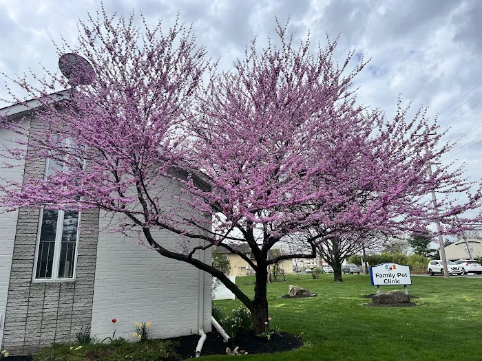 Family Pet Clinic Feasterville Picture 7