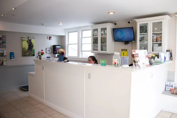 Family Pet Clinic Southampton Picture 9