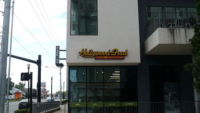 Hollywood Feed Picture 2