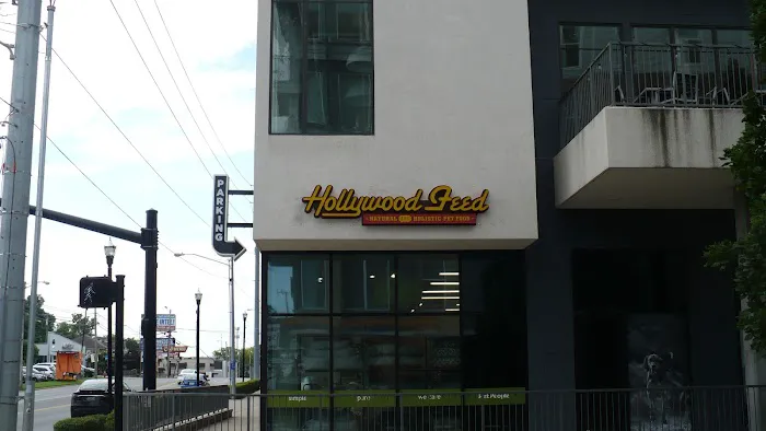 Hollywood Feed Picture 4
