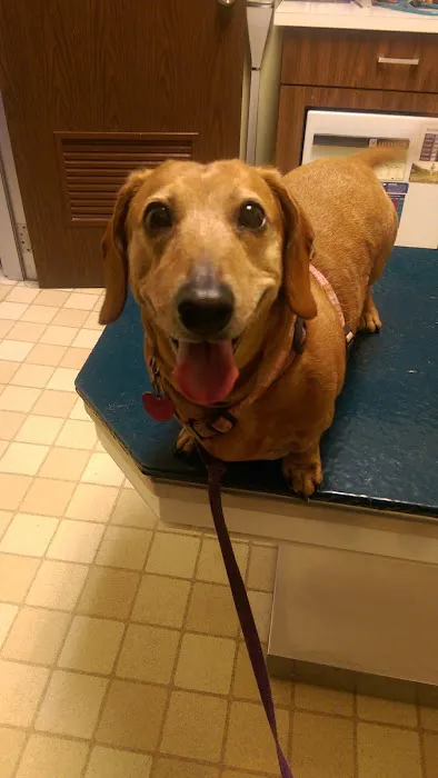 Warminster Veterinary Hospital Picture 6