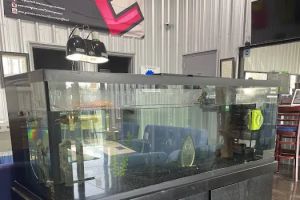 Auto Service Center