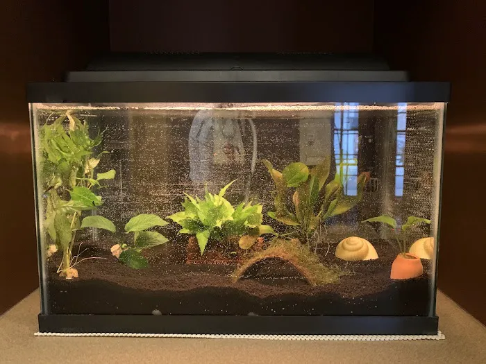 Petco Picture 3