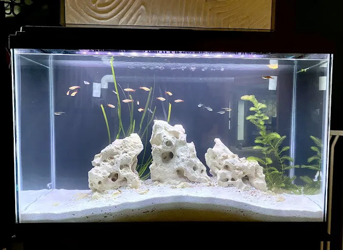 Petco Picture 5