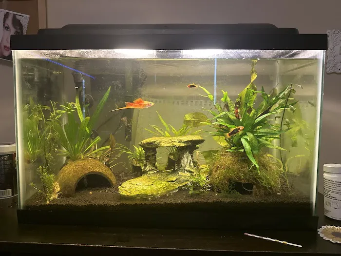 Petco Picture 9