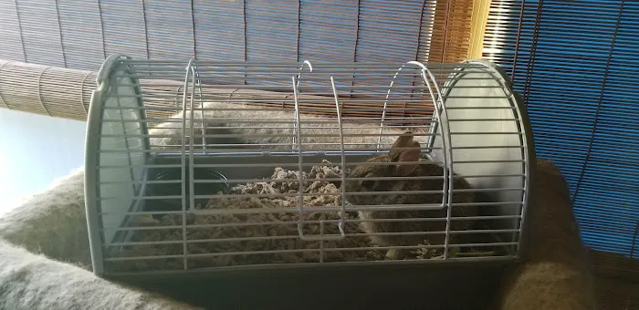 Petco Picture 10