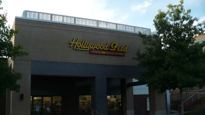 Hollywood Feed Picture 7