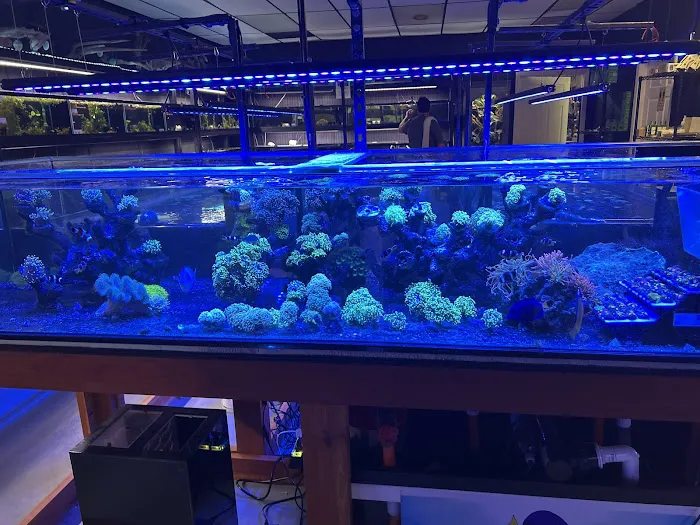 7 Seas Aquatics LLC Picture 2