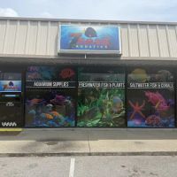 7 Seas Aquatics LLC ico