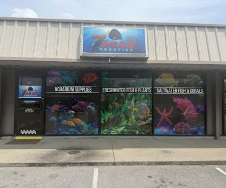 7 Seas Aquatics LLC