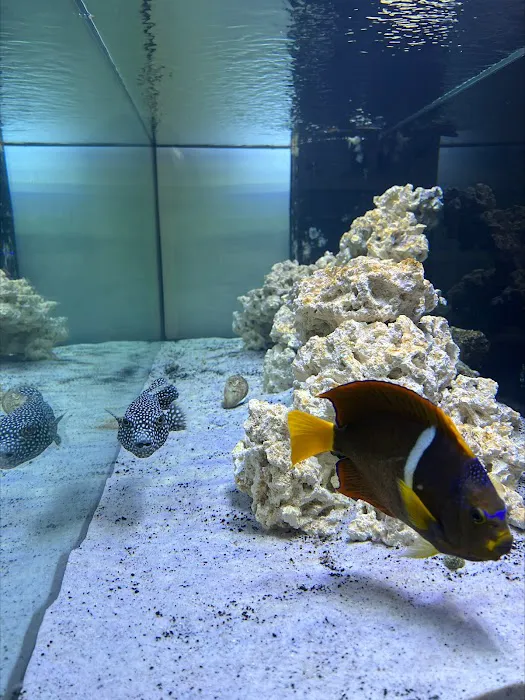Swans Ponds and Aquatics, LLC Picture 4
