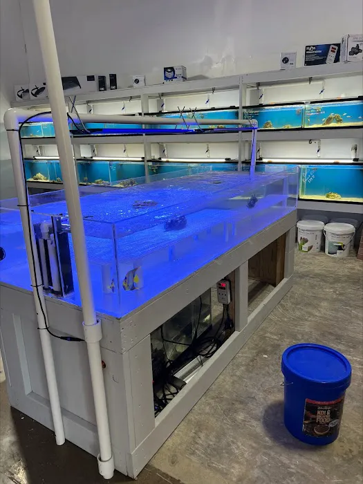 Swans Ponds and Aquatics, LLC Picture 3
