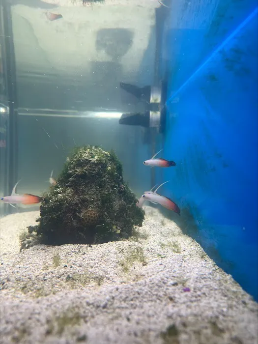 Swans Ponds and Aquatics, LLC Picture 10