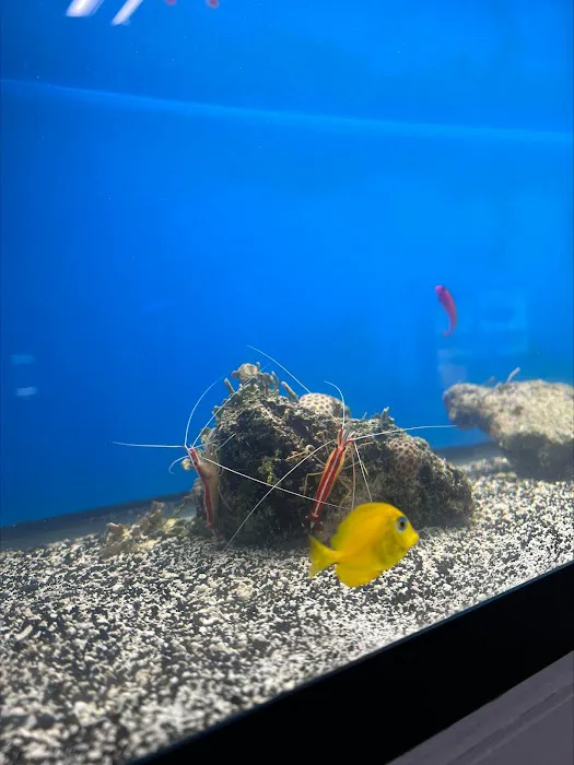 Swans Ponds and Aquatics, LLC Picture 9