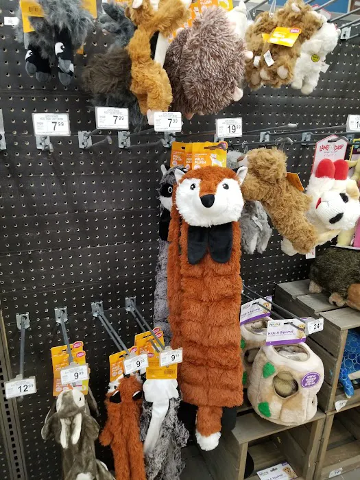 Petco Picture 2