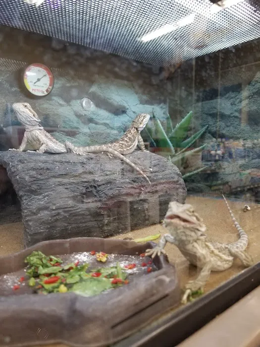 Petco Picture 6
