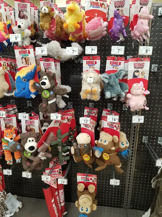Petco Picture 10