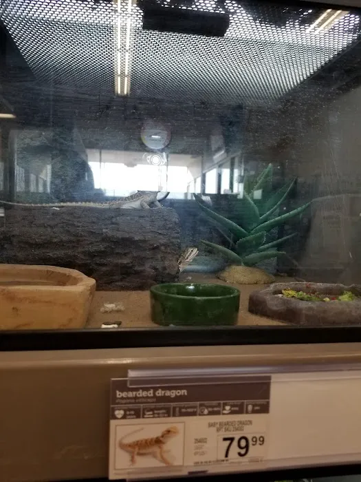 Petco Picture 9