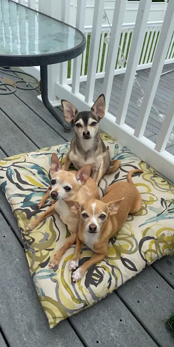 Cummings Veterinary Hospital Picture 2