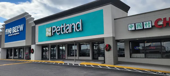 Petland Nashville Picture 1