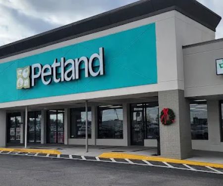 Petland Nashville