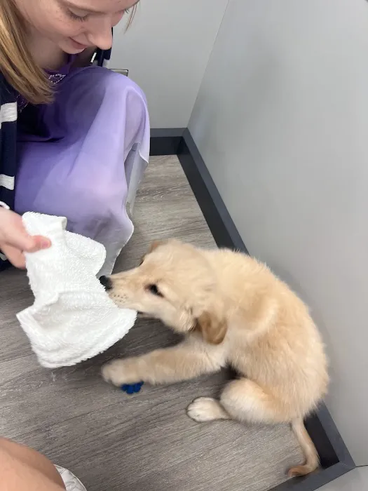 Petland Nashville Picture 6